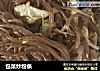 包菜炒粉条的做法