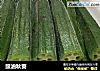 豉油秋葵的做法