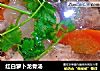 红白萝卜龙骨汤的做法