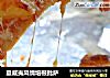 夏威夷风情培根批萨的做法