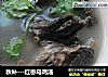秋补---红枣乌鸡汤的做法