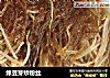 绿豆芽炒粉丝的做法