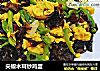 尖椒木耳炒鸡蛋的做法