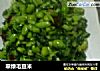 翠绿毛豆米的做法