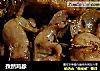 孜然鸡胗的做法