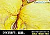 DIY苹果干，超级好吃的做法