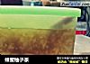 蜂蜜柚子茶的做法