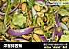 洋葱拌苦菊的做法
