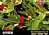 生拌筒篙的做法