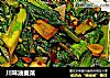 川味油麦菜的做法