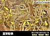 豆芽粉条的做法