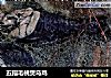 五指毛桃煲乌鸡的做法