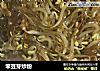 笨豆芽炒粉的做法
