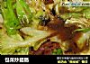 包菜炒腊肠的做法