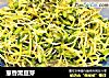葱香黑豆芽的做法