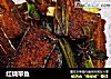 红烧带鱼的做法