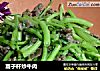 蒿子杆炒牛肉的做法