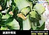 油渣炒青菜的做法