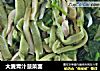 大麦青汁菠菜面的做法