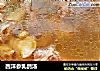 西洋参乳鸽汤的做法