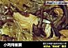 小鸡炖榛蘑的做法
