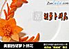 美丽的胡萝卜拼花的做法