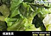 蚝油生菜的做法