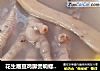 花生眉豆鸡脚煲响螺片汤的做法