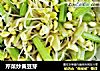 芹菜炒黄豆芽的做法