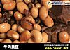 牛肉黄豆的做法