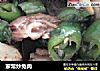 家常炒兔肉的做法