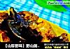 【山珍野味】野山菌吃法---松蘑烧排骨的做法