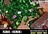 毛血旺（简易版）的做法