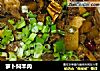 萝卜焖羊肉的做法