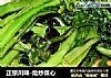 正宗川味-炝炒菜心的做法