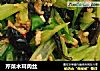 芹菜木耳肉丝的做法