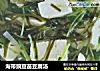 海带豌豆苗豆腐汤的做法