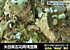 大白菜五花肉炖豆腐的做法