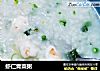虾仁青菜粥的做法