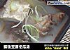 鲫鱼豆腐冬瓜汤的做法