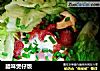 腊味煲仔饭的做法