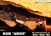 家庭版“马蹄烧饼”的做法