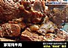家常炖牛肉的做法
