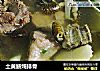 土黄鳝炖排骨的做法