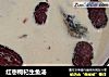 红枣枸杞生鱼汤的做法