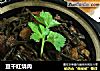 豆干红烧肉的做法