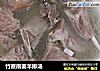 竹蔗南姜羊排汤的做法