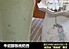 牛奶猕猴桃奶昔的做法