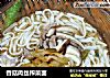 香菇肉丝榨菜面的做法