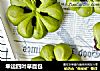 幸运四叶草面包的做法